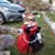 Benjamin Switzer's profile image