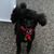 Kiliaen Parks Anderson's profile image