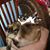Robin Painter's profile image