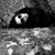 Leeza Palms's profile image