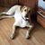 Valorie Walls Caprice's profile image