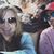 Heather Statum Berger's profile image