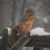 Teresa Zellmer Miller's profile image
