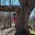 Paula J. Schubert's profile image