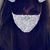 Courtney A. Quinlan's profile image