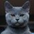 Lori Milburn's profile image