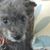 Robyn Debasitis-Morris's profile image