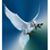 Melanie Stubblefield Noakes's profile image