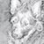 Kimberly Amburgey's profile image