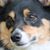 Autumn Langmade's profile image