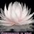 Deepthi Siriwardene's profile image