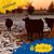 Sharon Baker Pennington's profile image