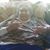 Katie Duerst's profile image