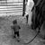 Dezi Axtell's profile image
