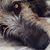 Candy Brown's profile image