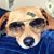 Heidi Menebroker Lettau's profile image