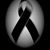 Carolina Carbajal's profile image