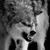 Stacy Fyffe's profile image