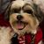 Penny Dodson's profile image