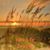 Traci Caudill's profile image
