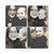Lauren Aimee's profile image
