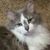 Sonya Anderson Workman's profile image
