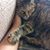 Fahren Grissom's profile image