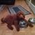 Chip Gooding's profile image