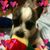 Barbara Cadavieco's profile image