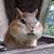 Terri Casebolt's profile image