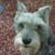 Jan Harriman Wiggins's profile image