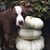 Tracy Gardner's profile image
