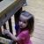 Shelly L Cox's profile image