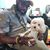 GorillaHercules Quag-rilla Baker's profile image
