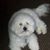 Ruthmarie Kill-Wheat's profile image