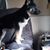 Kathy Provost Borden's profile image