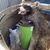 Derek Dillon's profile image