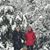 Denise Chenevert's profile image