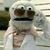 Monyea Lyons's profile image