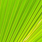 Ladies F.'s profile image