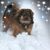 Gilda McClure Lewis's profile image