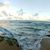 Lorraine Castaldo's profile image
