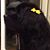 Harlow Folz's profile image