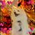Robin Hopper's profile image