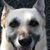 Val Blakely's profile image