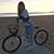 Sedona Prietto's profile image