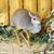 Nick Westerkamp's profile image
