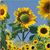 Sandra Fannock's profile image