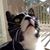 Amanda Philipp's profile image