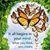 Paula Rowe Hochradel's profile image